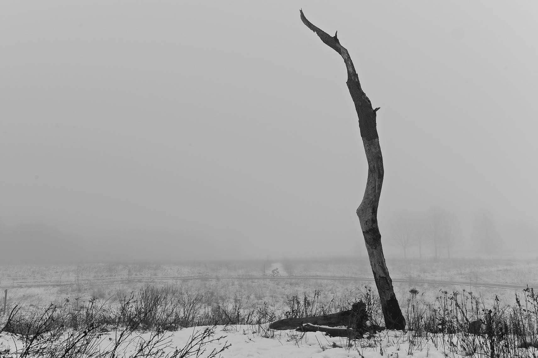 Digital Photo Academy Photography