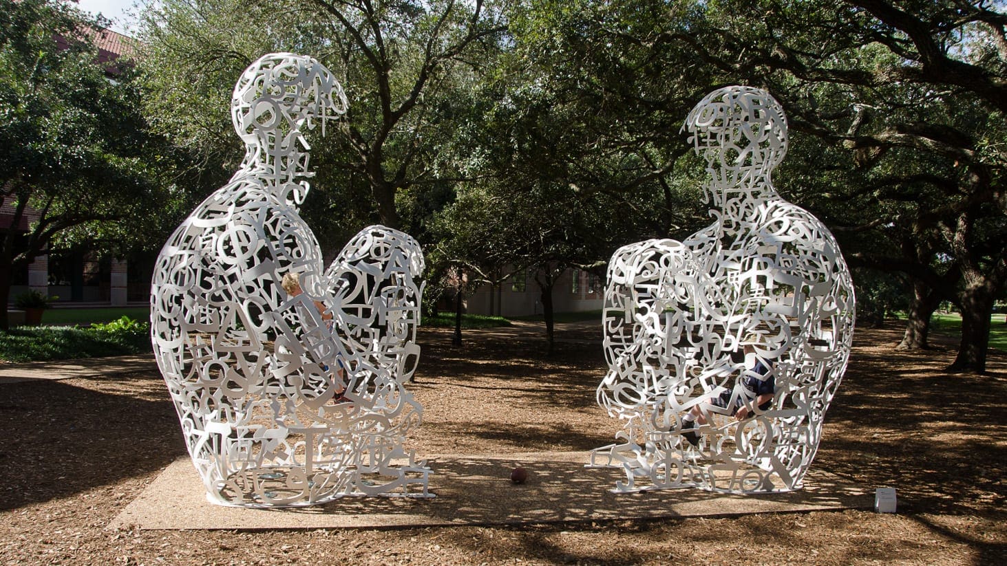 Rice University Area