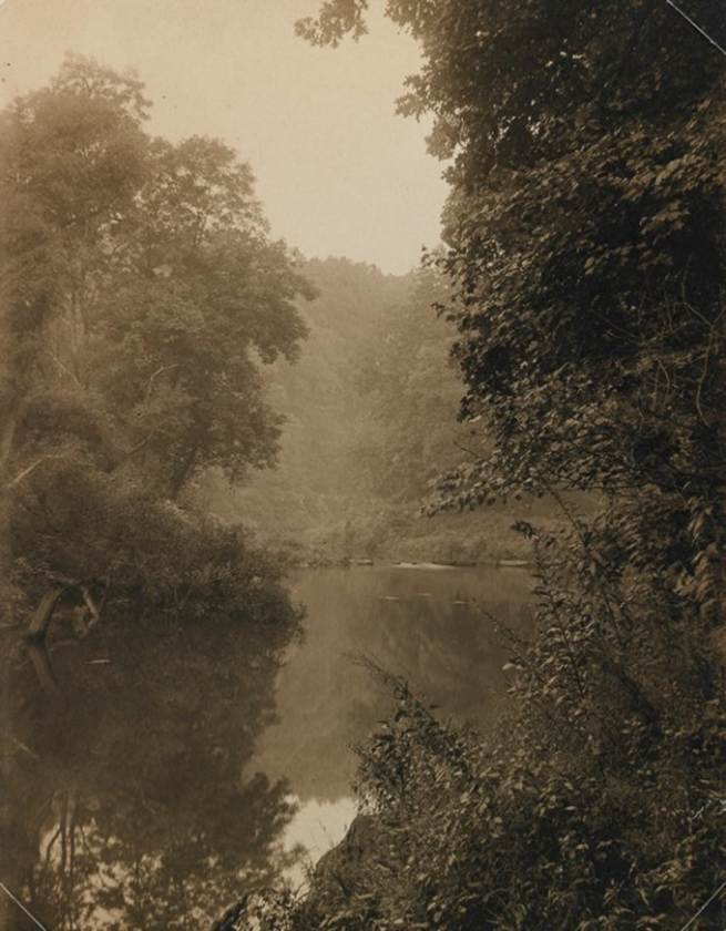 image005-jpg