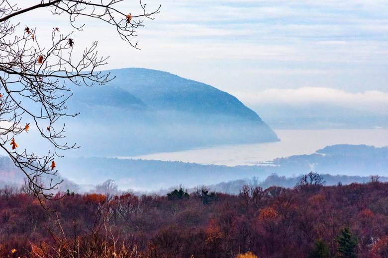 A picture containing outdoor, sky, tree, grass  Description automatically generated